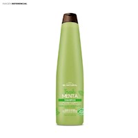 Shampoo para cabello graso Fresh Menta de 350 ml BE Natural